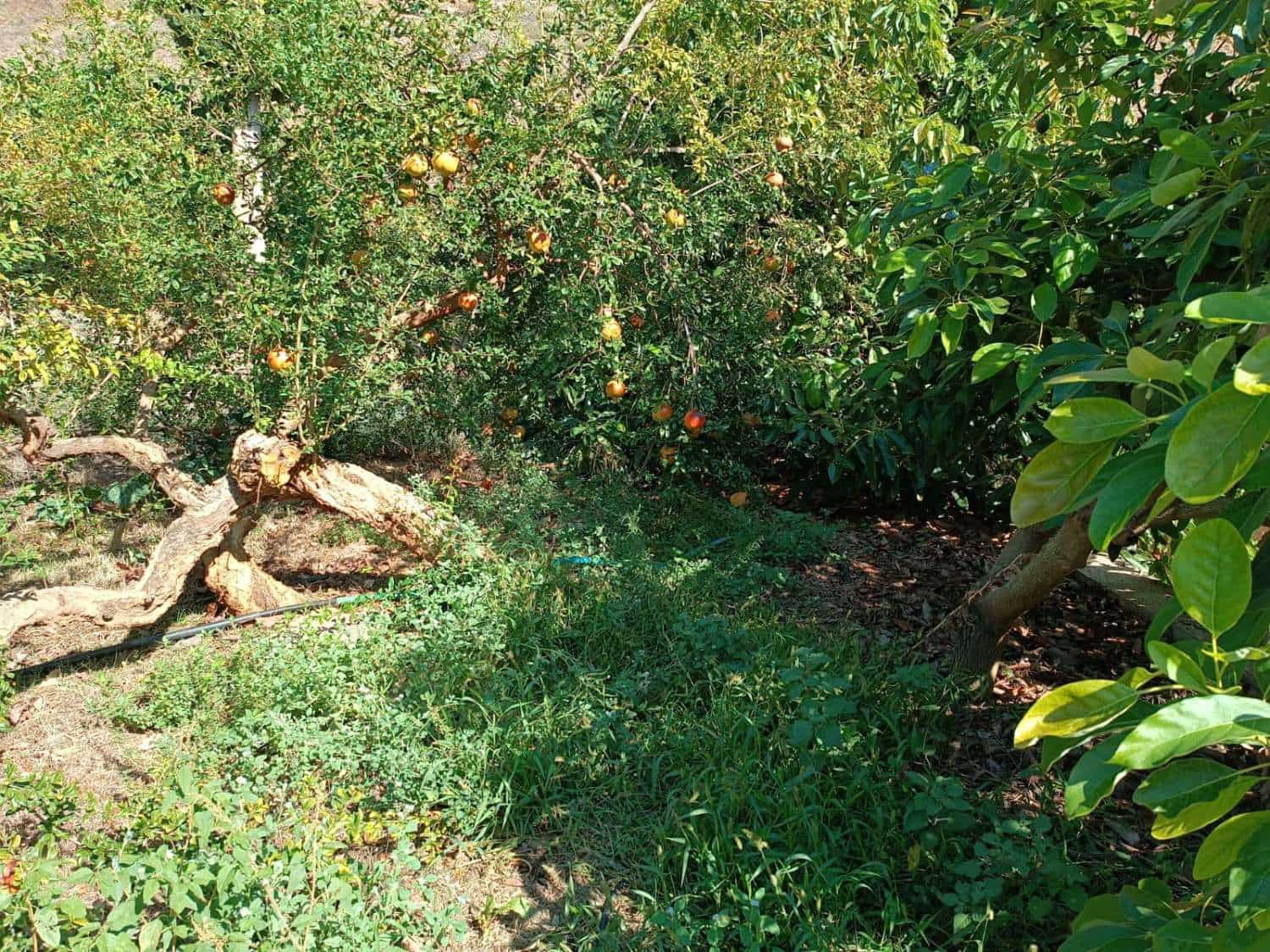 5 slaapkamer Huis te koop in Totalan - € 315.000 (Ref: 8698571)