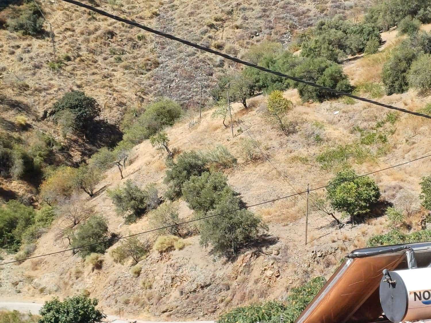 Ubebygd land til salgs i Moclinejo - € 85 000 (Ref: 8698577)