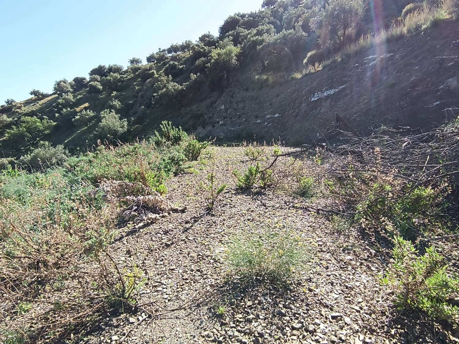 Terreno para Construção para venda em Moclinejo - 35 000 € (Ref: 8698583)