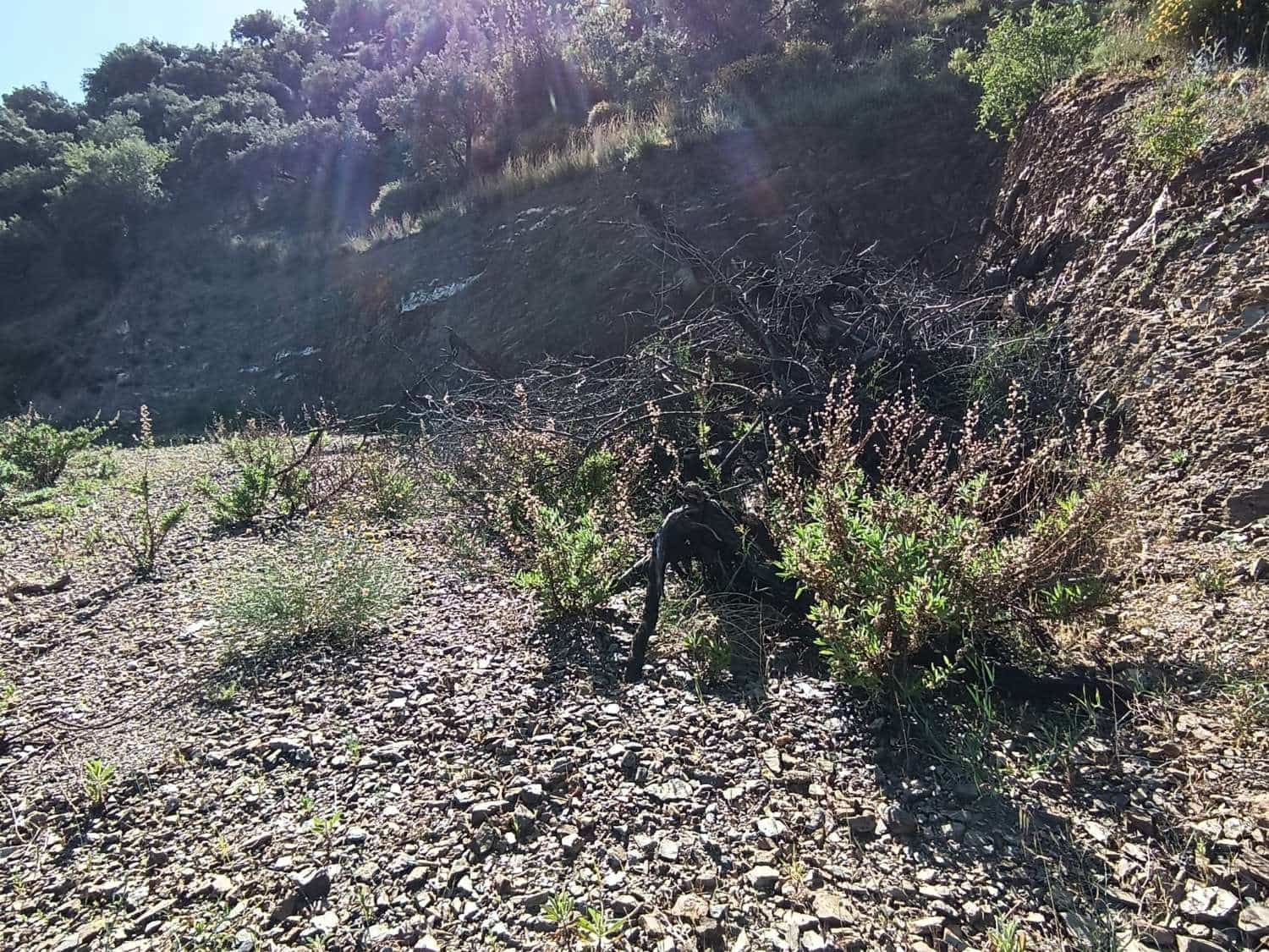 Terreno para Construção para venda em Moclinejo - 35 000 € (Ref: 8698583)