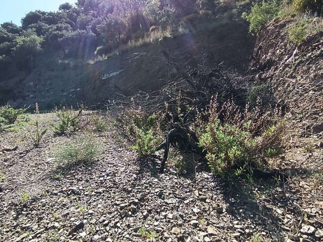 Terreno para Construção para venda em Moclinejo - 35 000 € (Ref: 8698583)