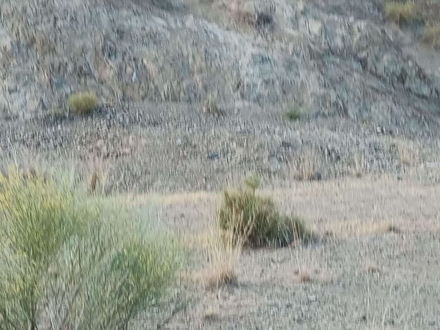 Terrain à Bâtir à vendre à Cártama - 130 000 € (Ref: 8698585)