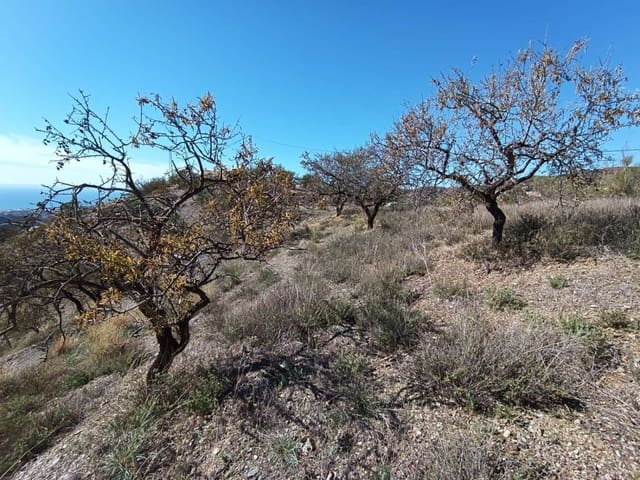 Byggetomt til salgs i Rincón de la Victoria - € 62 000 (Ref: 8698594)