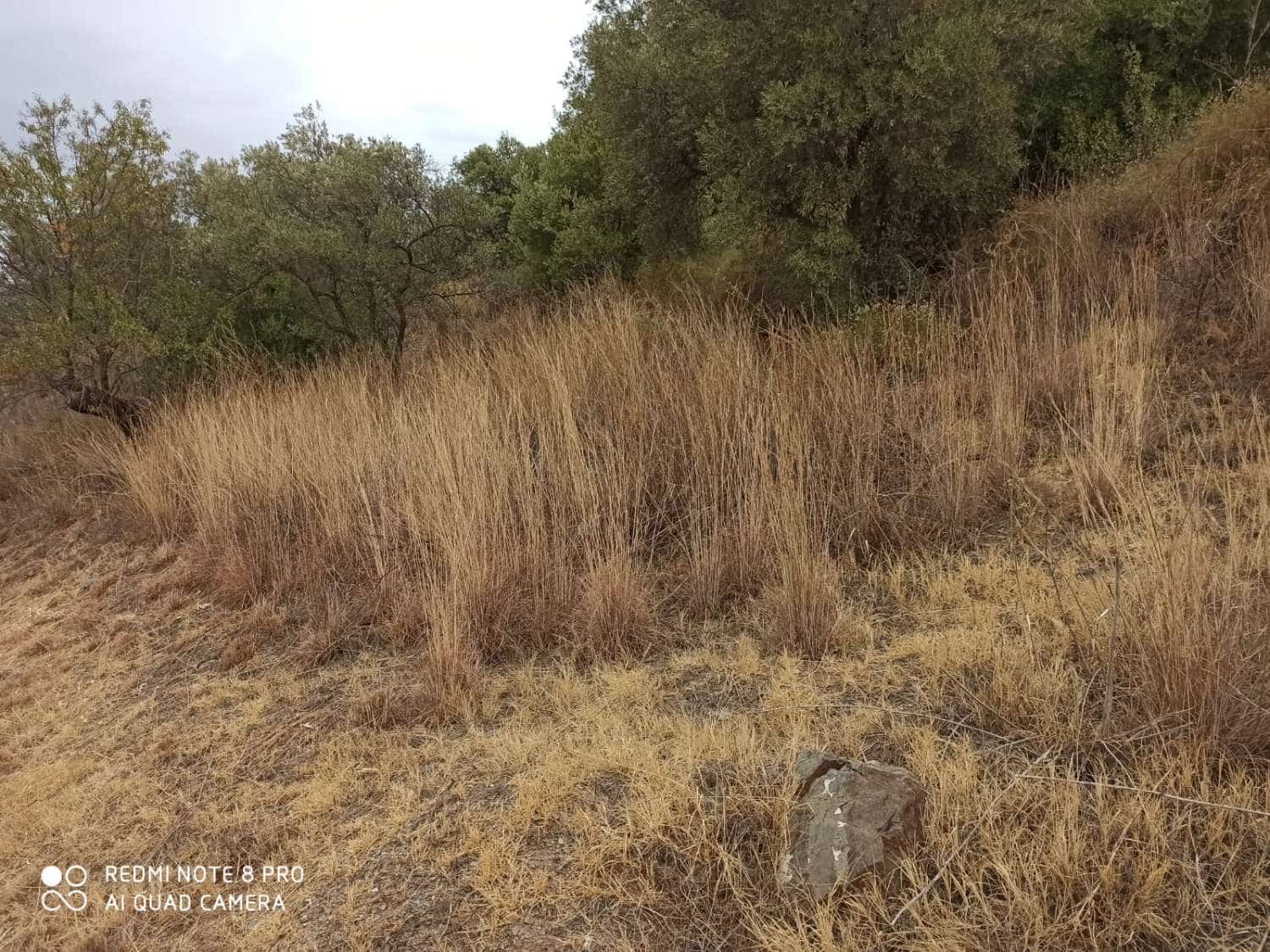 Byggetomt til salgs i Totalan - € 25 000 (Ref: 8698614)