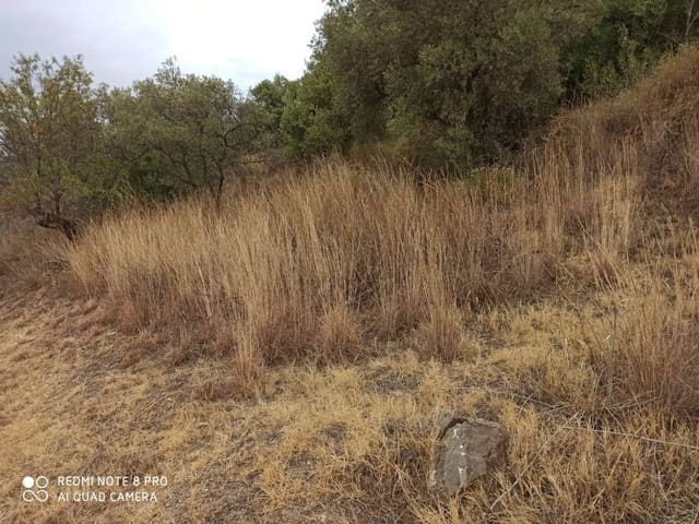 Byggegrund til salg i Totalán - € 25.000 (Ref: 8698614)