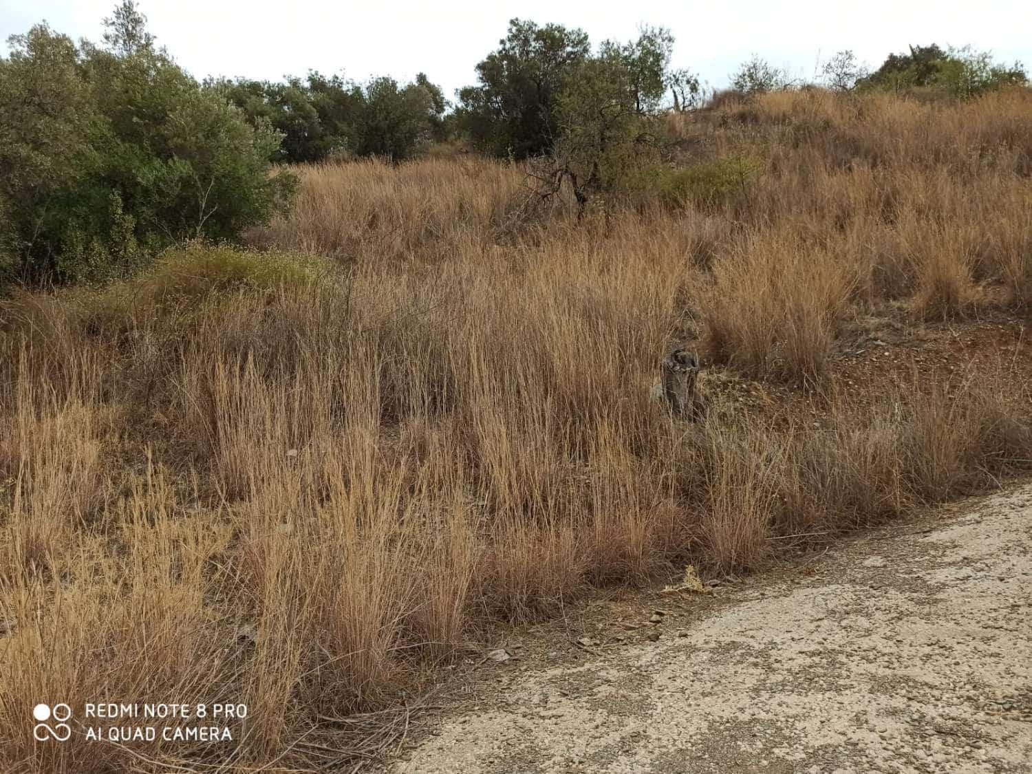 Byggetomt til salgs i Totalan - € 25 000 (Ref: 8698614)