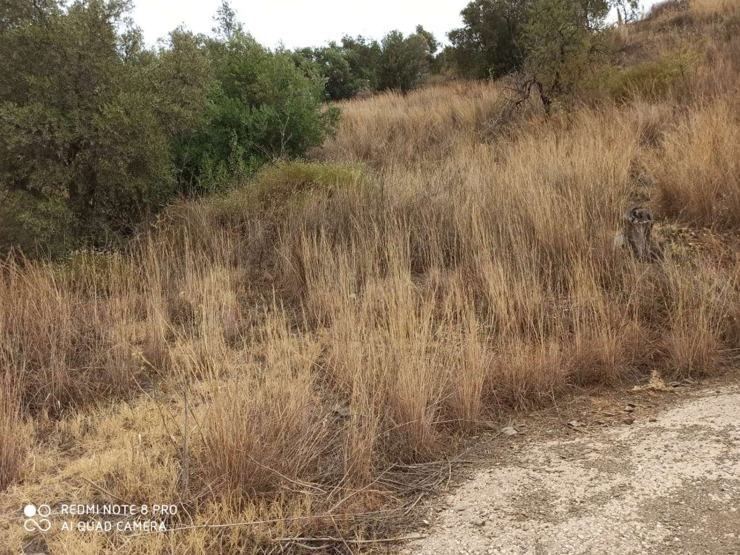 Byggetomt til salgs i Totalan - € 25 000 (Ref: 8698614)