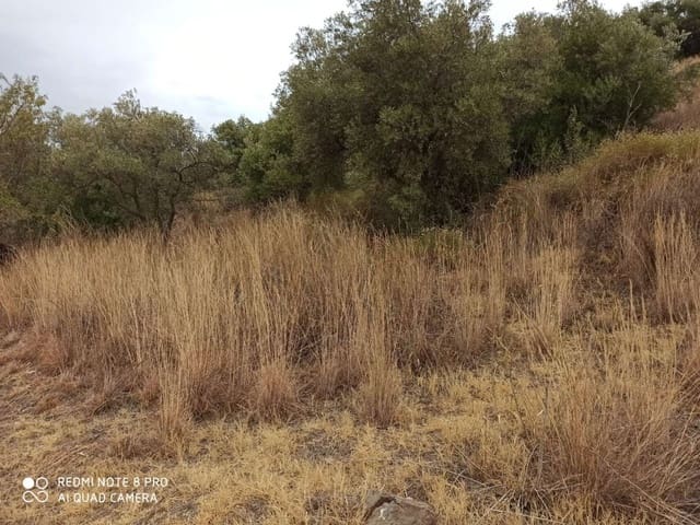 Byggegrund til salg i Totalán - € 25.000 (Ref: 8698614)