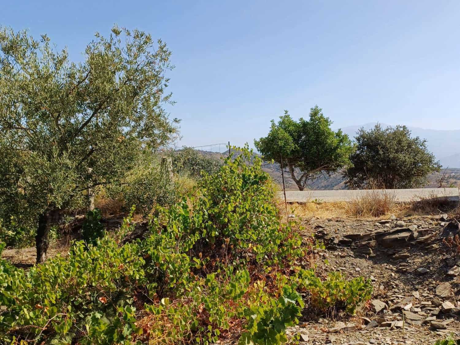 Byggetomt til salgs i Moclinejo - € 23 000 (Ref: 8698625)