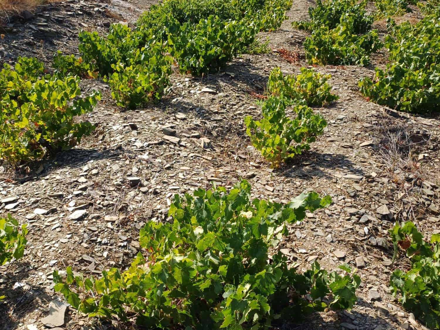 Byggetomt til salgs i Moclinejo - € 23 000 (Ref: 8698625)