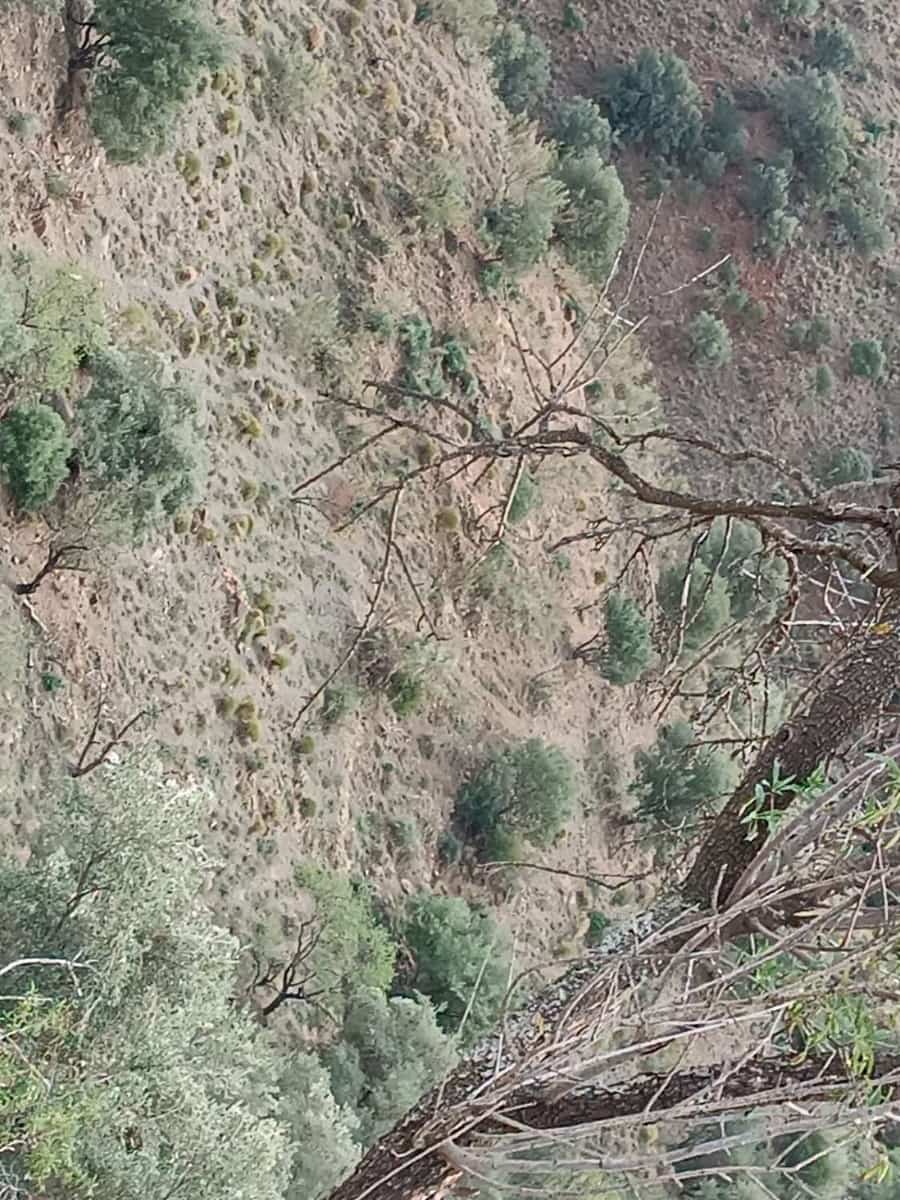 Ubebygd land til salgs i Macharaviaya - € 75 000 (Ref: 8698626)