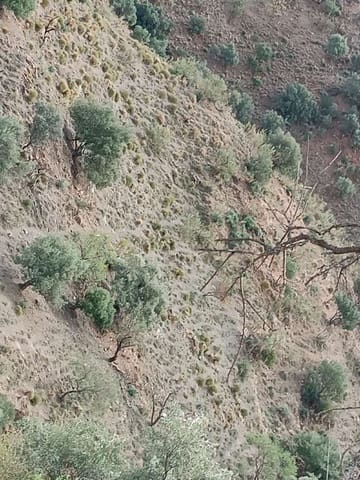 Terre non Aménagée à vendre à Macharaviaya - 75 000 € (Ref: 8698626)