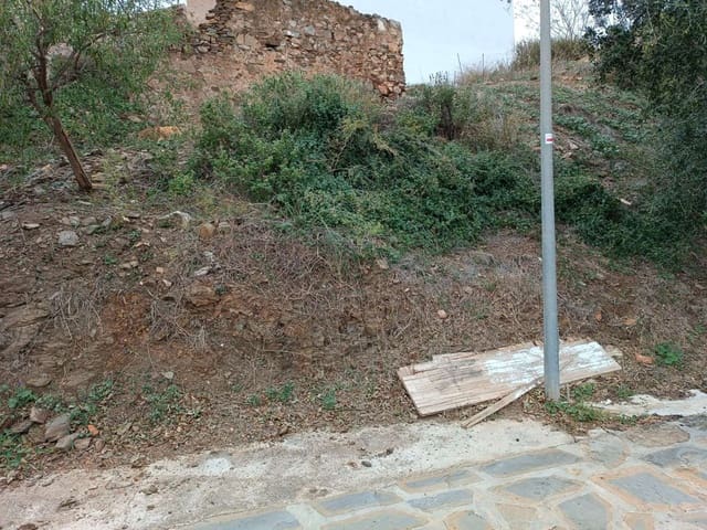 Terre non Aménagée à vendre à Macharaviaya - 75 000 € (Ref: 8698626)