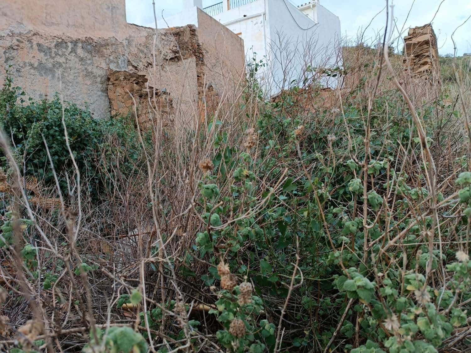 Ubebygd land til salgs i Macharaviaya - € 75 000 (Ref: 8698626)