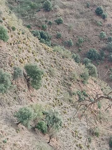 Terre non Aménagée à vendre à Macharaviaya - 75 000 € (Ref: 8698626)