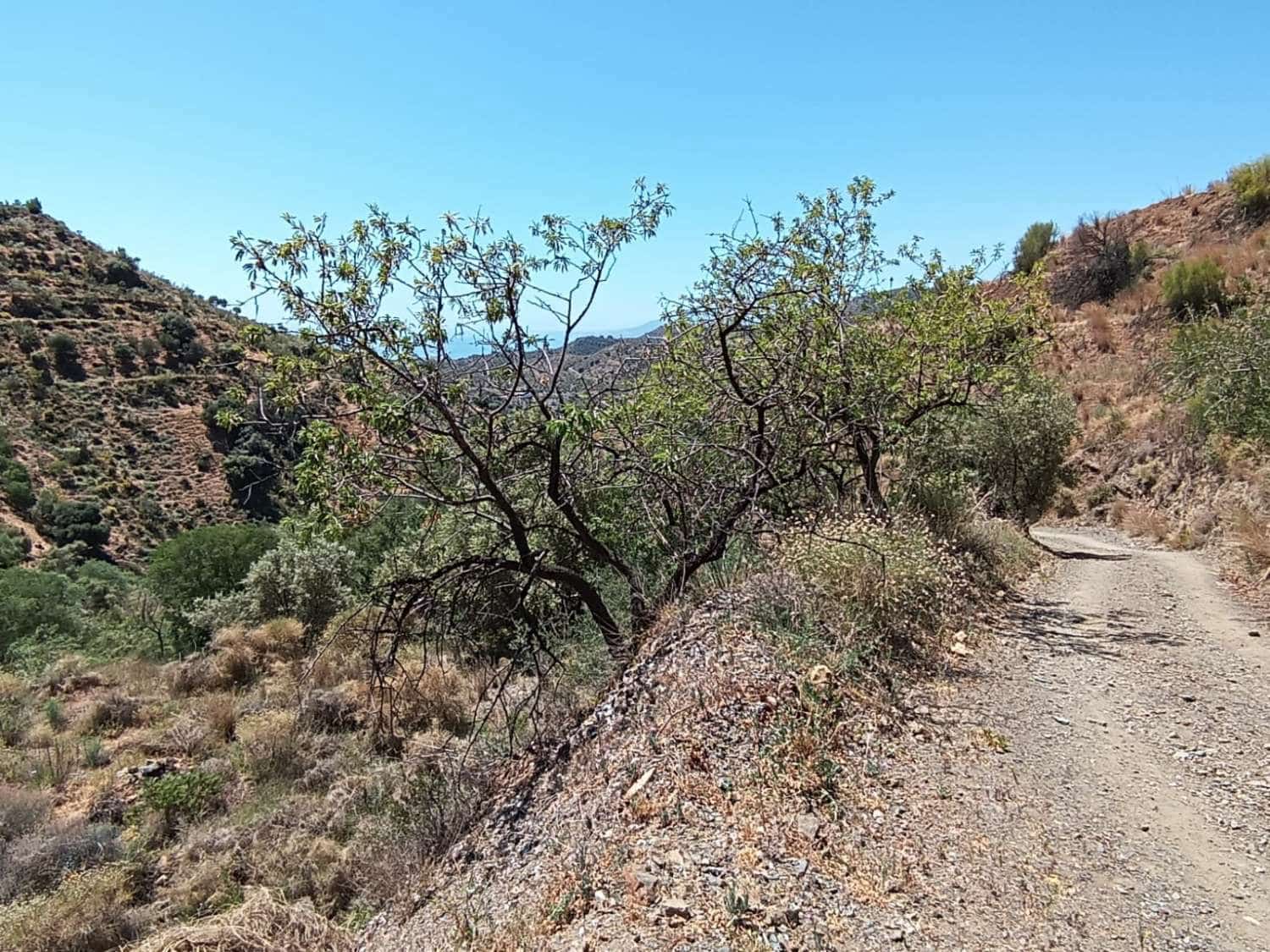 1 makuuhuone Maalaistalo myytävänä paikassa Moclinejo - 60 000 € (Ref: 8698628)