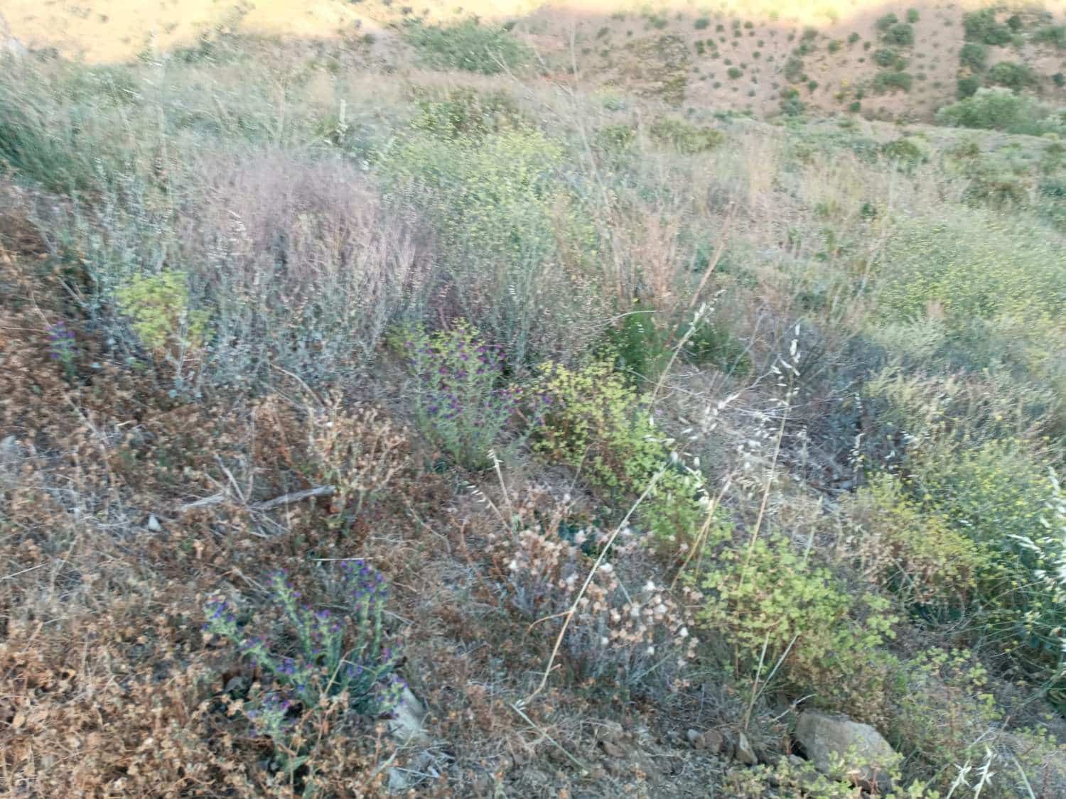 Tontti myytävänä paikassa Moclinejo - 120 000 € (Ref: 8698631)