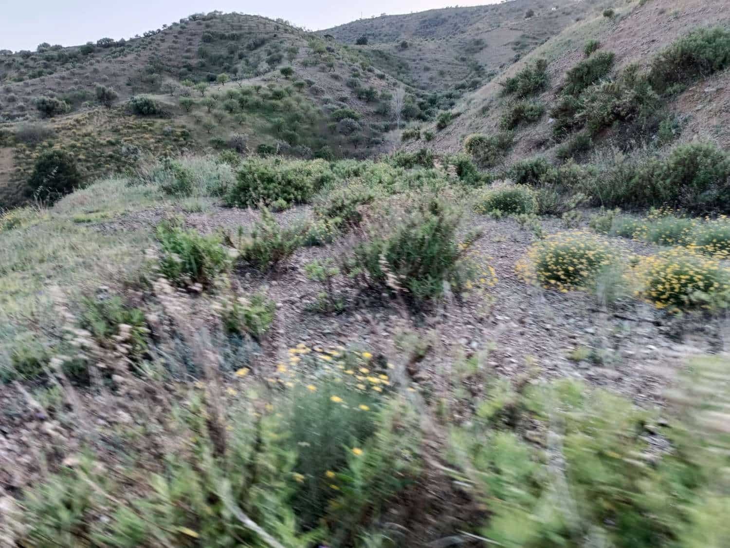 Tontti myytävänä paikassa Moclinejo - 120 000 € (Ref: 8698631)