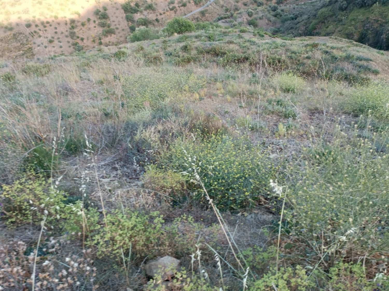 Tontti myytävänä paikassa Moclinejo - 120 000 € (Ref: 8698631)