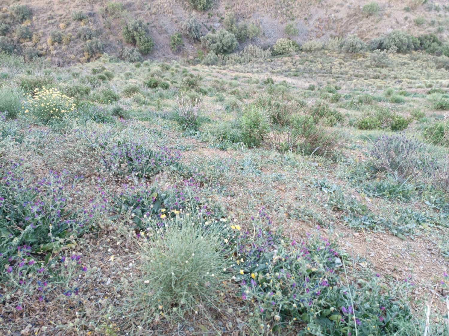 Tontti myytävänä paikassa Moclinejo - 120 000 € (Ref: 8698631)