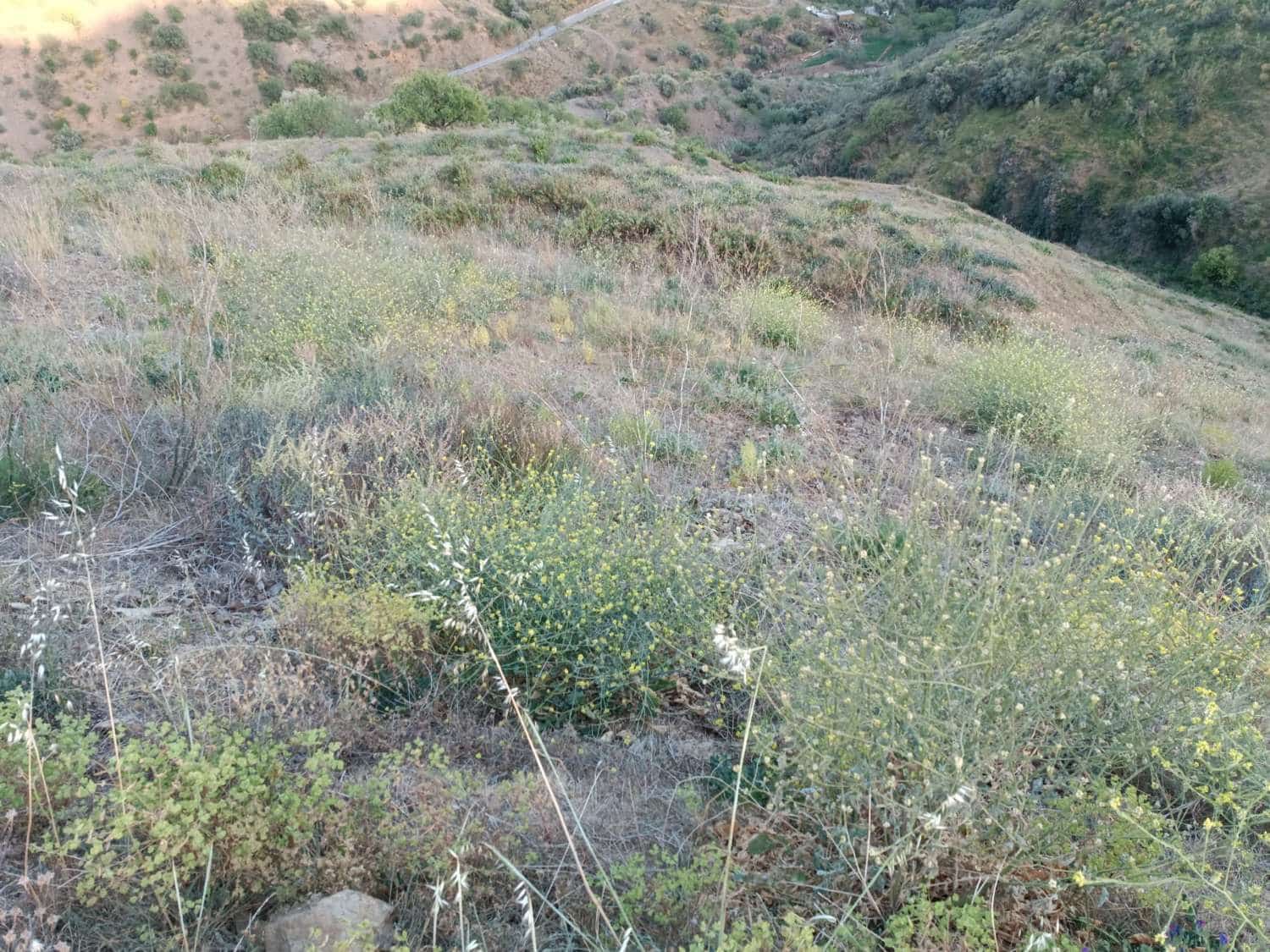 Tontti myytävänä paikassa Moclinejo - 120 000 € (Ref: 8698631)