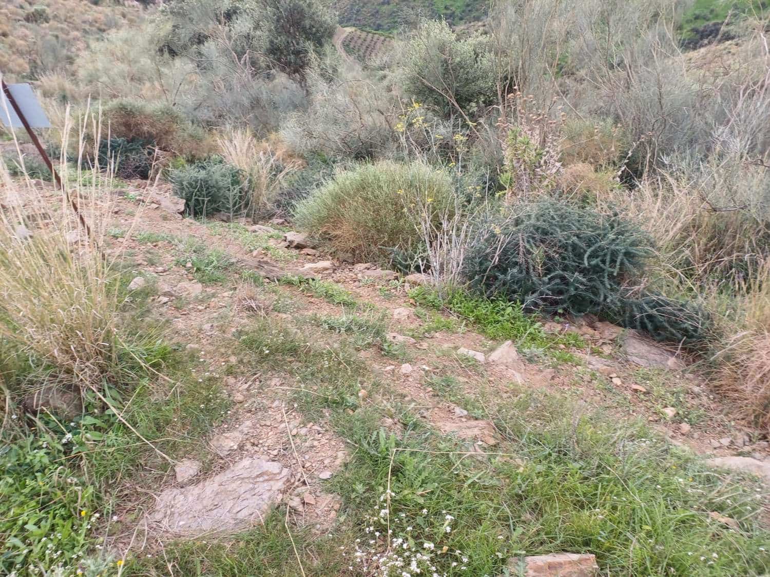 Tontti myytävänä paikassa Macharaviaya - 70 000 € (Ref: 8709681)