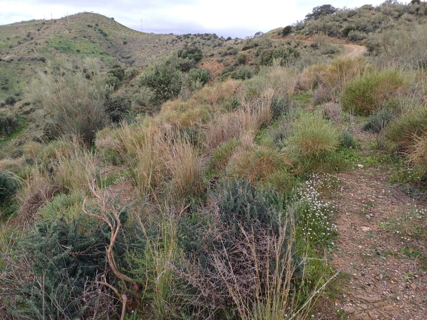 Tontti myytävänä paikassa Macharaviaya - 70 000 € (Ref: 8709681)