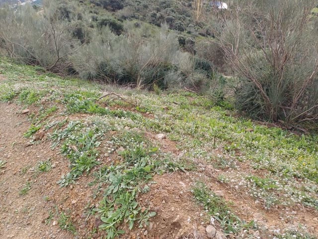 Tontti myytävänä paikassa Macharaviaya - 70 000 € (Ref: 8709681)