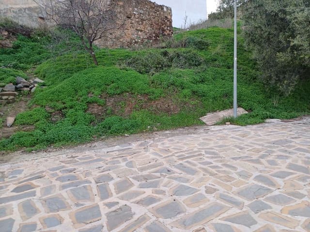 Terre non Aménagée à vendre à Macharaviaya - 75 000 € (Ref: 8717013)