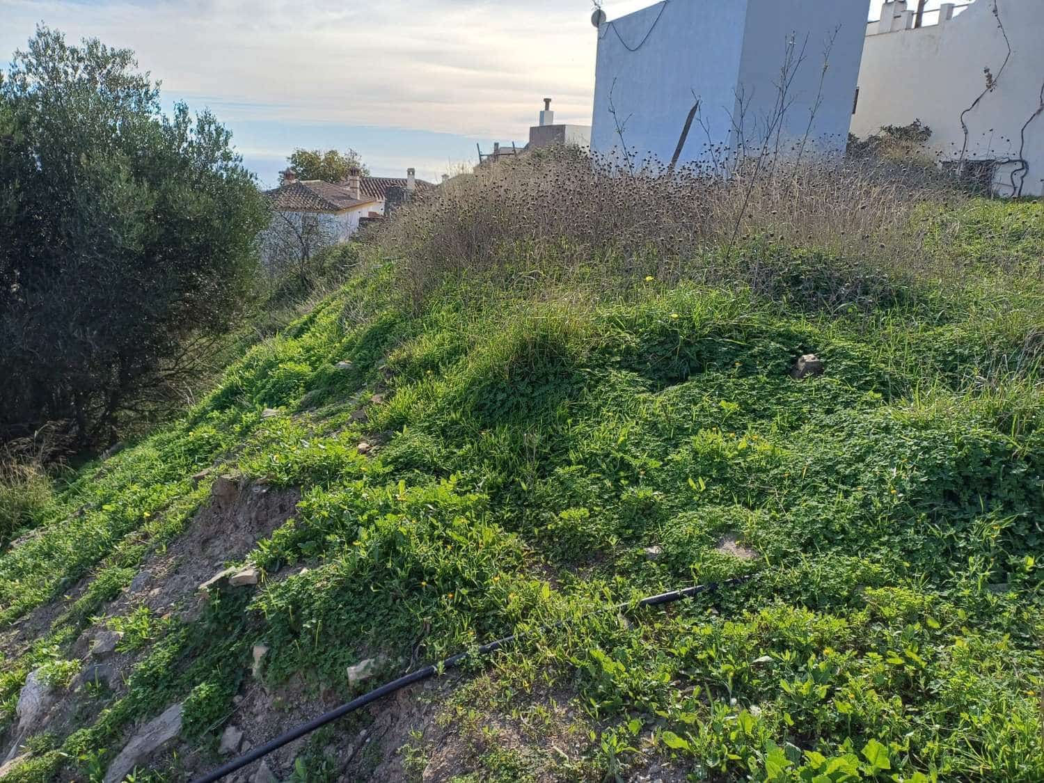 Ubebygd land til salgs i Macharaviaya - € 75 000 (Ref: 8717013)