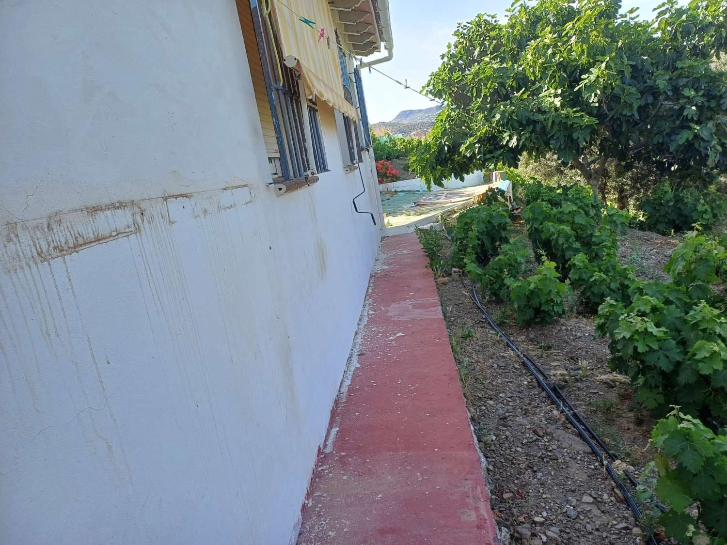 3 slaapkamer Finca/Landhuis te koop in El Borge - € 250.000 (Ref: 9634661)