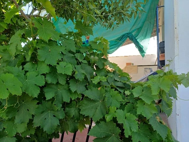 3 soveværelse Finca/Landehus til salg i El Borge - € 250.000 (Ref: 9634661)