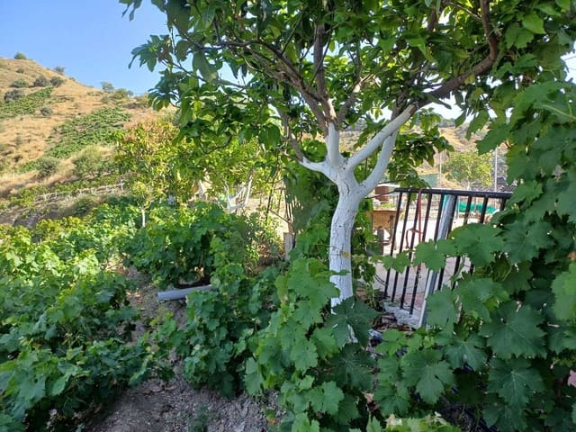 3 soveværelse Finca/Landehus til salg i El Borge - € 250.000 (Ref: 9634661)