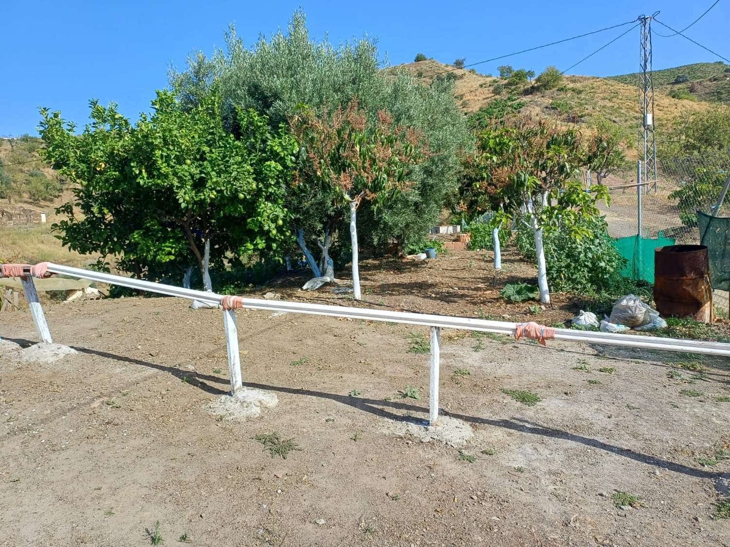 3 slaapkamer Finca/Landhuis te koop in El Borge - € 250.000 (Ref: 9634661)