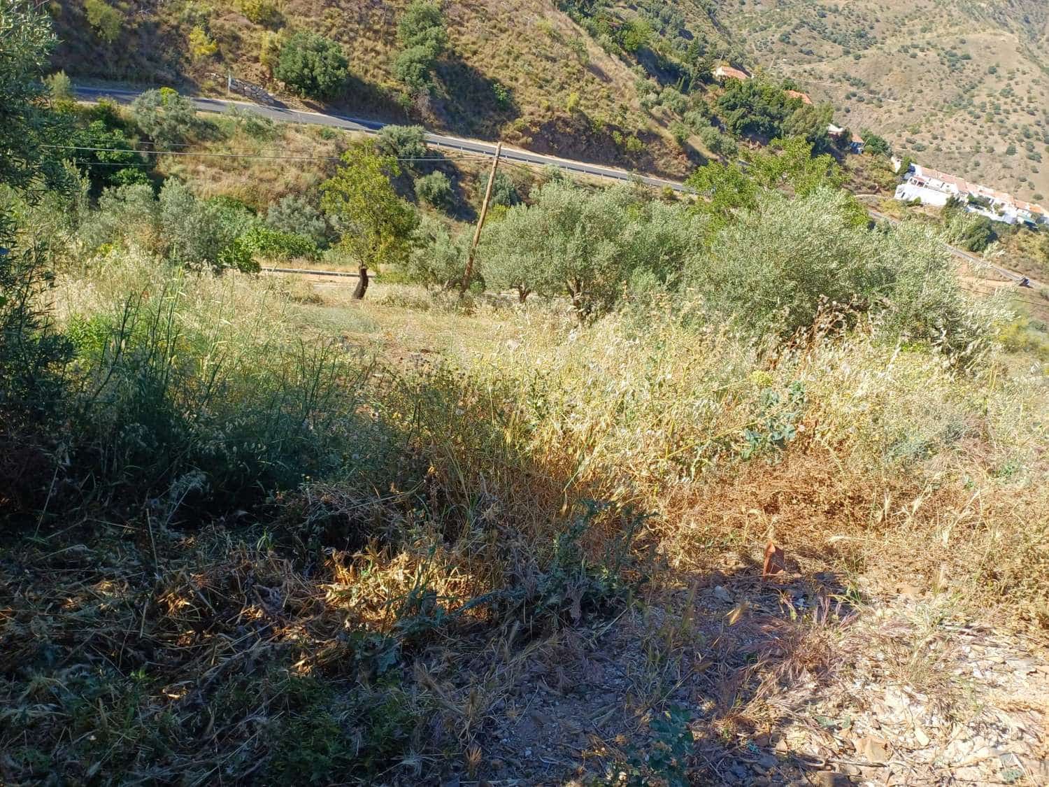 Undeveloped Land for sale in Moclinejo - € 58,000 (Ref: 9634663)