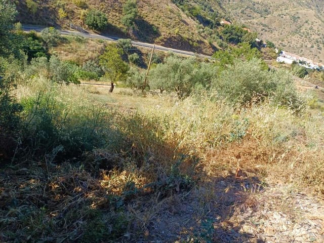 Undeveloped Land for sale in Moclinejo - € 58,000 (Ref: 9634663)