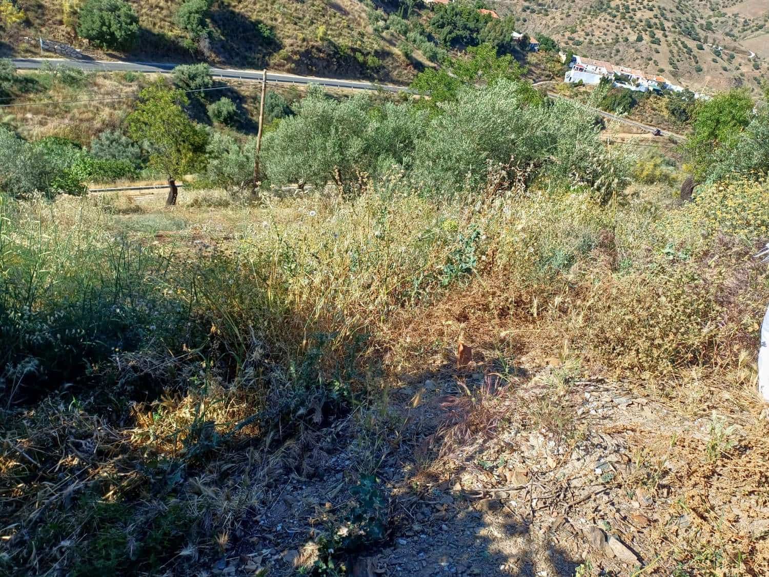 Undeveloped Land for sale in Moclinejo - € 58,000 (Ref: 9634663)