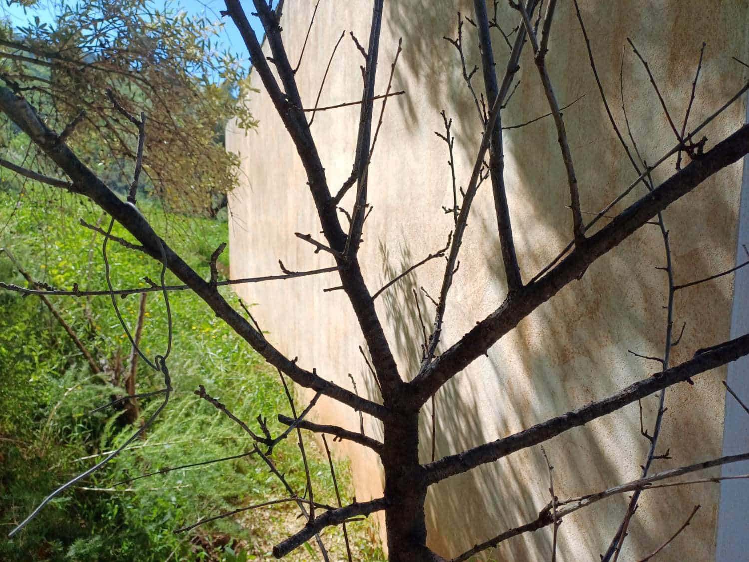 Tontti myytävänä paikassa Malaga kaupunki - 110 000 € (Ref: 9634665)