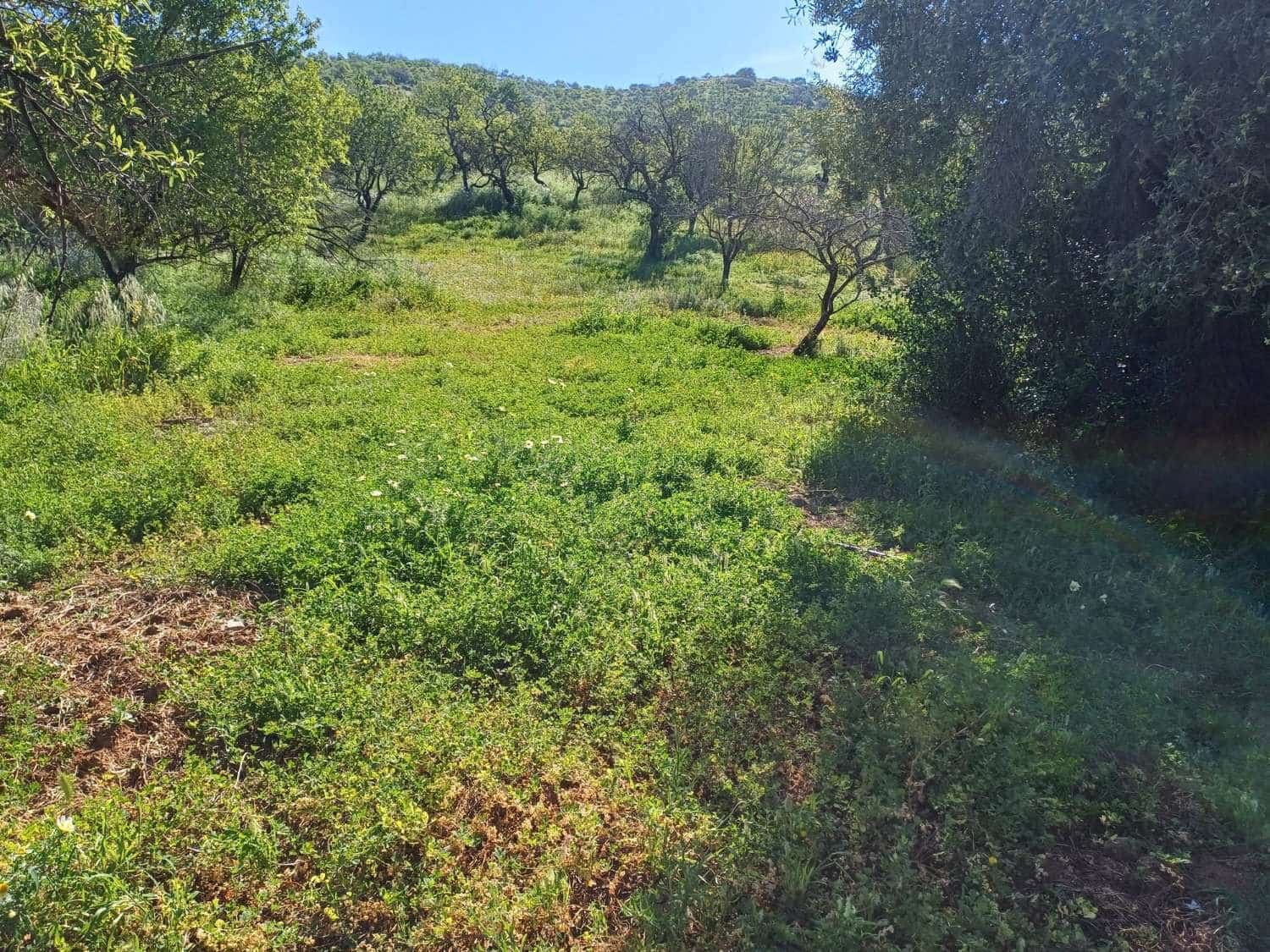 Tontti myytävänä paikassa Malaga kaupunki - 110 000 € (Ref: 9634665)