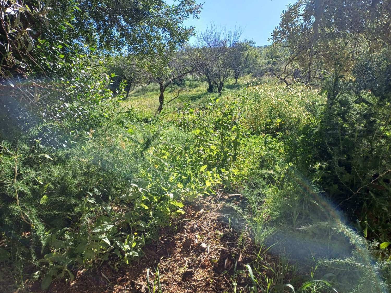 Tontti myytävänä paikassa Malaga kaupunki - 110 000 € (Ref: 9634665)