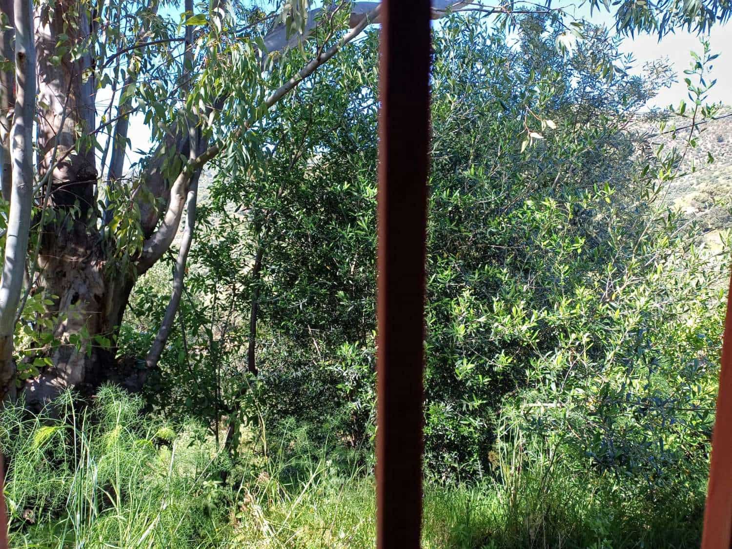 Tontti myytävänä paikassa Malaga kaupunki - 110 000 € (Ref: 9634665)