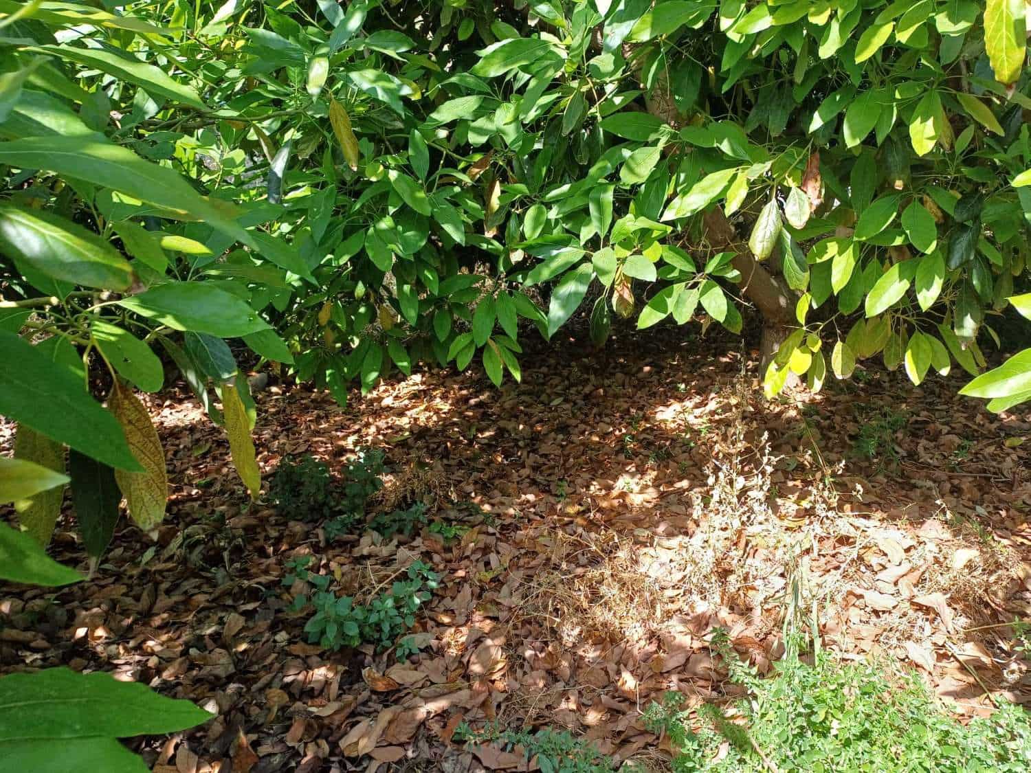 Building Plot for sale in Torrox - € 90,000 (Ref: 9634666)