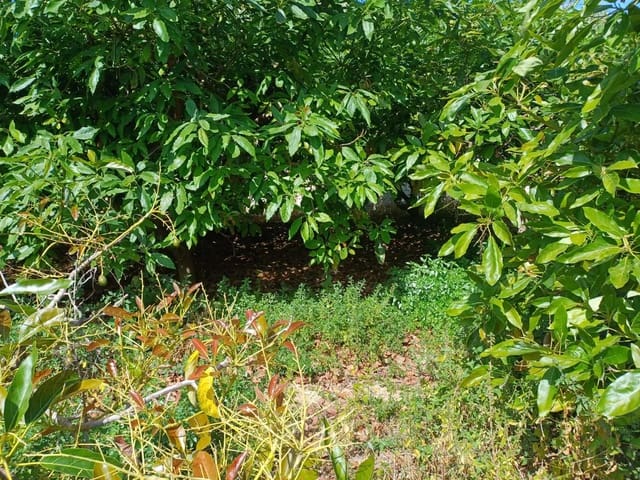 Building Plot for sale in Torrox - € 90,000 (Ref: 9634666)