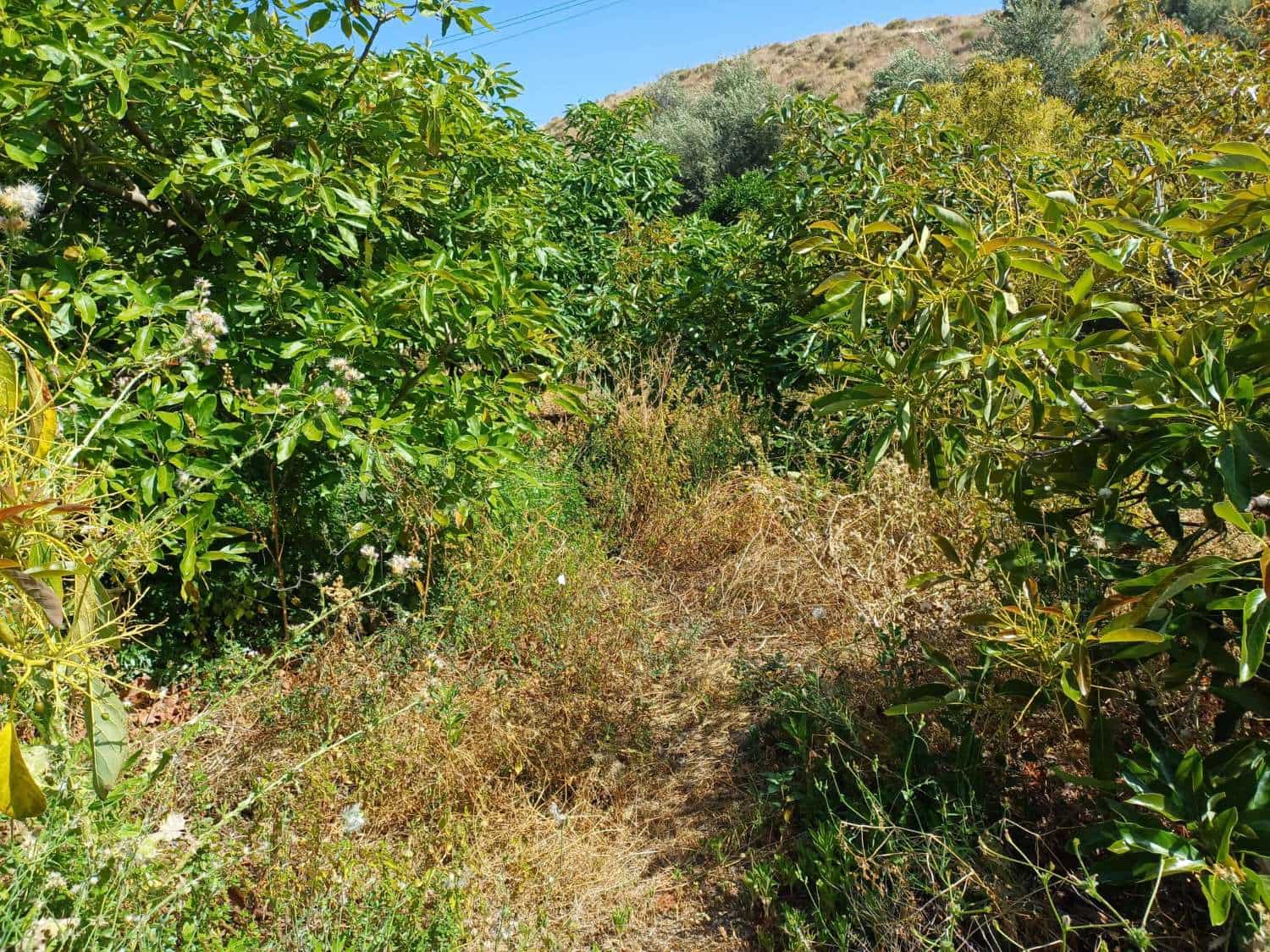 Building Plot for sale in Torrox - € 90,000 (Ref: 9634666)