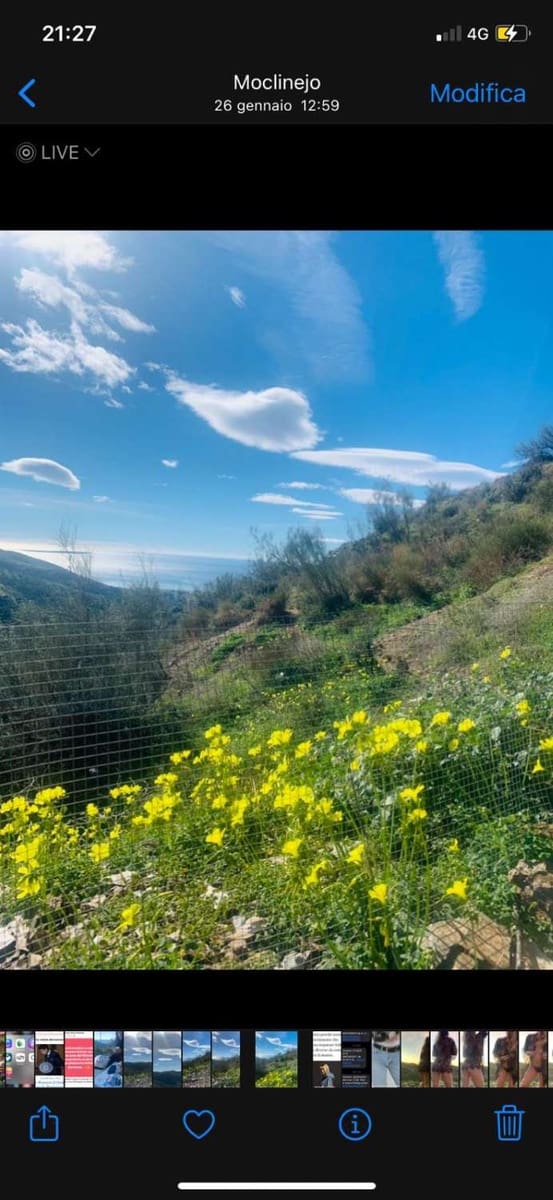 Tontti myytävänä paikassa Moclinejo - 55 000 € (Ref: 9634667)