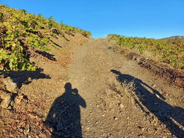 Tontti myytävänä paikassa Almáchar - 50 000 € (Ref: 9634670)