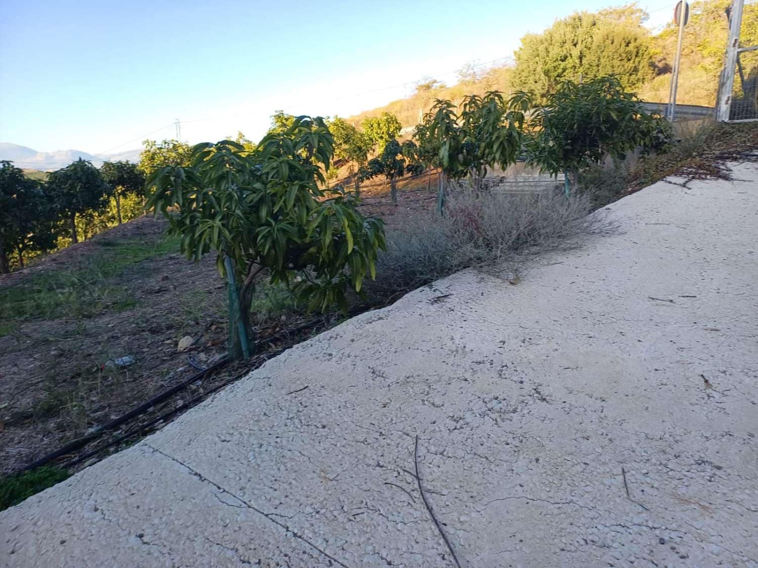 2 soverom Finca/Herregård til salgs i Iznate med svømmebasseng - € 470 000 (Ref: 9634672)