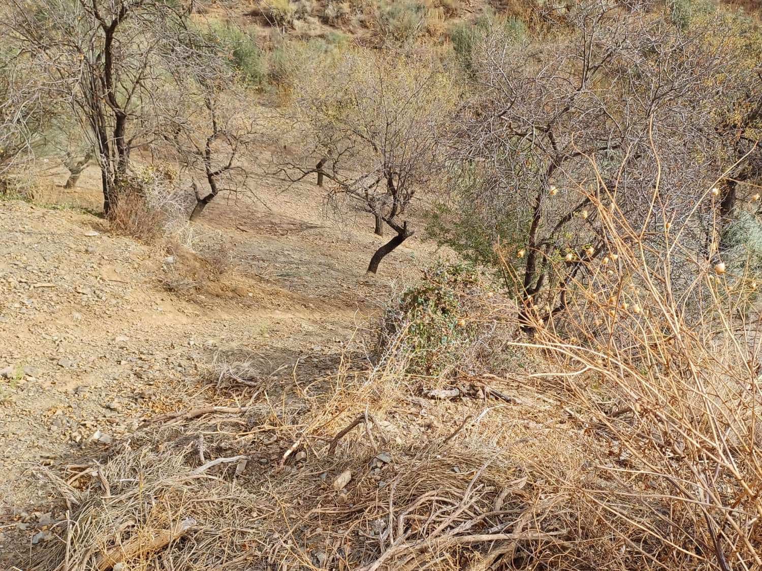 Building Plot for sale in Rincon de la Victoria - € 48,000 (Ref: 9634673)