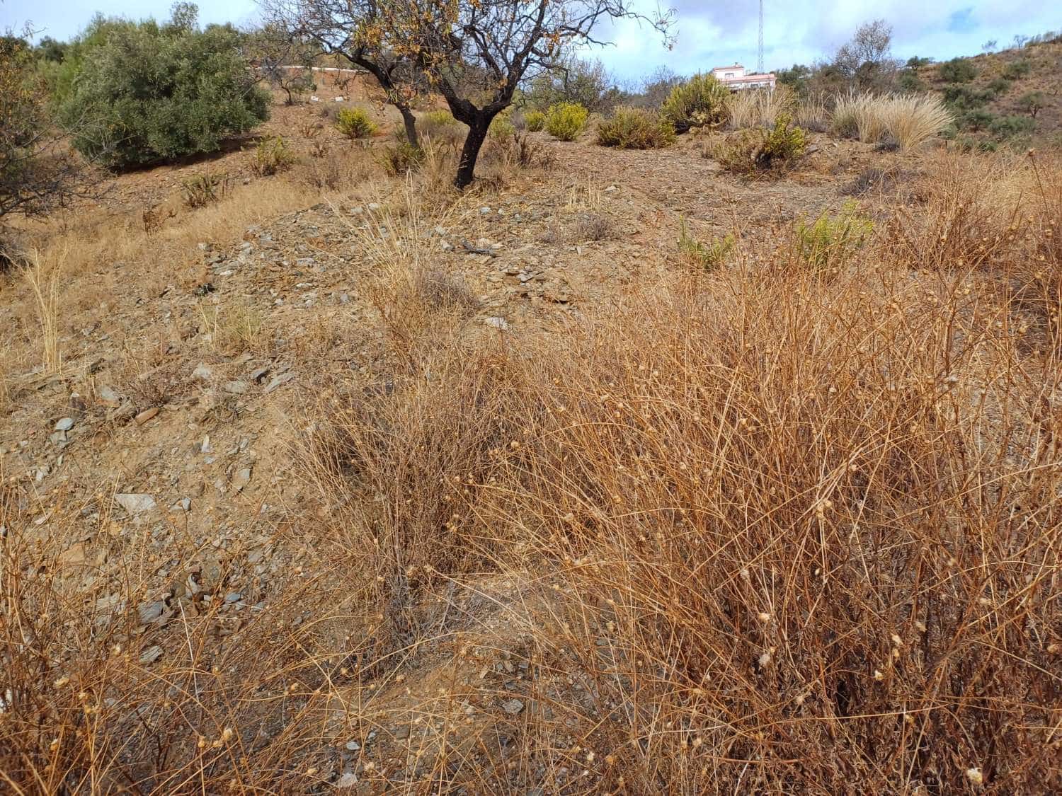 Building Plot for sale in Rincon de la Victoria - € 48,000 (Ref: 9634673)