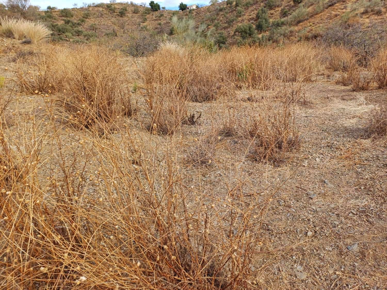 Building Plot for sale in Rincon de la Victoria - € 48,000 (Ref: 9634673)